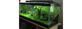 Livewell & Baitwell Pumps
